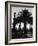 Billowing Palm Tree Gracing the Stark Structures of Towering Oil Rigs-Alfred Eisenstaedt-Framed Photographic Print