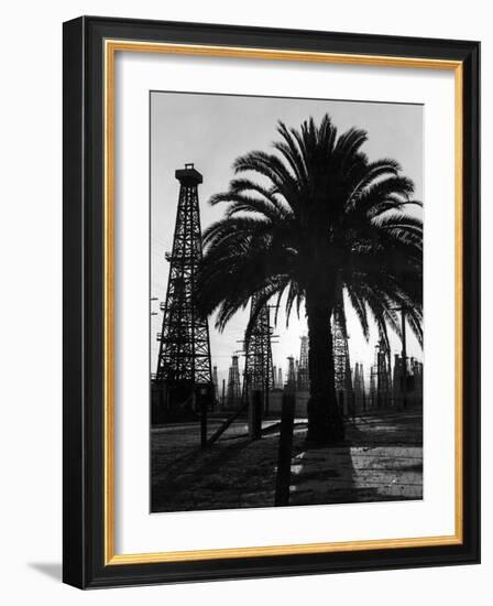 Billowing Palm Tree Gracing the Stark Structures of Towering Oil Rigs-Alfred Eisenstaedt-Framed Photographic Print