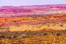 Painted Desert Yellow Grass Lands Orange Sandstone Red Fiery Furnace Arches National Park Moab Utah-BILLPERRY-Framed Photographic Print