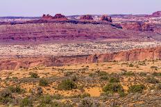 Yellow Grass Lands Moab Fault Arches National Park Moab Utah-BILLPERRY-Photographic Print