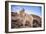 Billy Goat Scruff-Darren White Photography-Framed Photographic Print