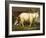 Billy Goats-Johan Wenzel Peter-Framed Giclee Print