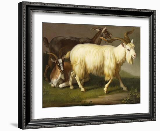 Billy Goats-Johan Wenzel Peter-Framed Giclee Print