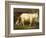 Billy Goats-Johan Wenzel Peter-Framed Giclee Print