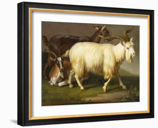 Billy Goats-Johan Wenzel Peter-Framed Giclee Print