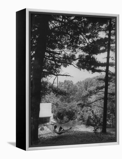 Billy Graham Reading the Bible Outside the Cabin Where He Seeks Seclusion-Ed Clark-Framed Premier Image Canvas