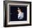 Billy Joel-null-Framed Photo