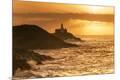 Photographic Print