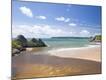 Photographic Print