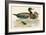 Bimaculated Duck-Beverley R. Morris-Framed Giclee Print