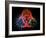 Biohazard Symbol And Viruses-Laguna Design-Framed Photographic Print