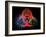 Biohazard Symbol And Viruses-Laguna Design-Framed Photographic Print