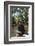 Biologist-Author Rachel Carson Reading in the Woods Near Her Home, 1962-Alfred Eisenstaedt-Framed Photographic Print