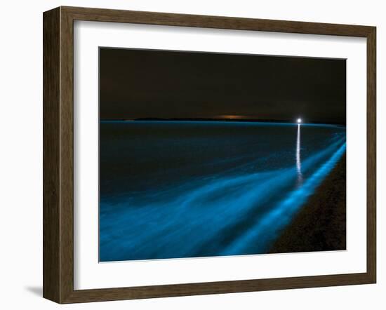 Bioluminescence in Waves in the Gippsland Lakes, Victoria, Australia-Stocktrek Images-Framed Photographic Print