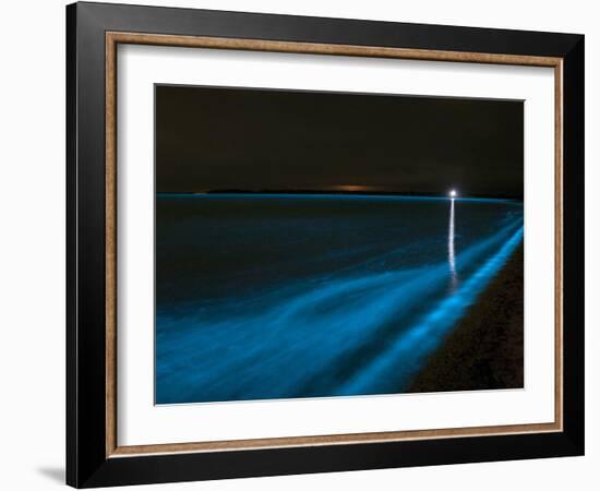 Bioluminescence in Waves in the Gippsland Lakes, Victoria, Australia-Stocktrek Images-Framed Photographic Print