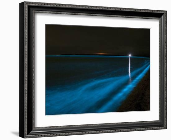 Bioluminescence in Waves in the Gippsland Lakes, Victoria, Australia-Stocktrek Images-Framed Photographic Print