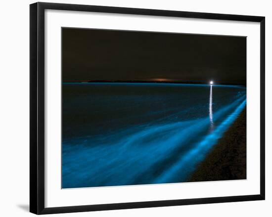 Bioluminescence in Waves in the Gippsland Lakes, Victoria, Australia-Stocktrek Images-Framed Photographic Print