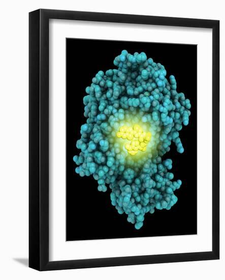 Bioluminescent Enzyme Molecule-Laguna Design-Framed Photographic Print