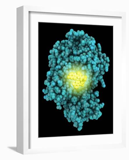 Bioluminescent Enzyme Molecule-Laguna Design-Framed Photographic Print