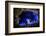 Bioluminescent Sea-fireflies producing a bright blue light. Tomonoura, Inland Sea, Japan-Solvin Zankl-Framed Photographic Print