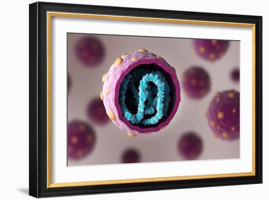 Biomedical illustration showing the cross section of hantavirus.-Stocktrek Images-Framed Art Print