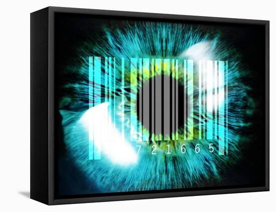 Biometric Eye Scan-PASIEKA-Framed Premier Image Canvas
