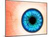 Biometric Eye Scan-PASIEKA-Mounted Photographic Print