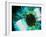 Biometric Eye Scan-PASIEKA-Framed Photographic Print