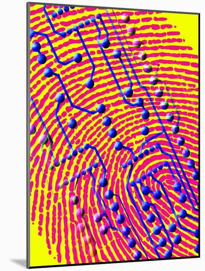 Biometric Fingerprint Scan-PASIEKA-Mounted Photographic Print