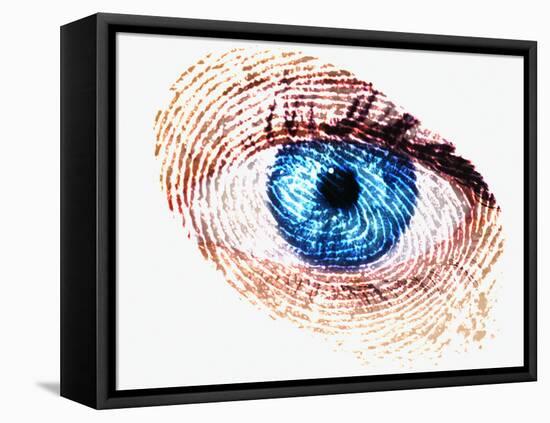 Biometric Identification-Mehau Kulyk-Framed Premier Image Canvas