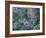 Birch and Wildflowers, Great Smoky Mountains National Park, Tennessee, USA-Darrell Gulin-Framed Photographic Print