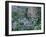 Birch and Wildflowers, Great Smoky Mountains National Park, Tennessee, USA-Darrell Gulin-Framed Photographic Print