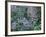 Birch and Wildflowers, Great Smoky Mountains National Park, Tennessee, USA-Darrell Gulin-Framed Photographic Print