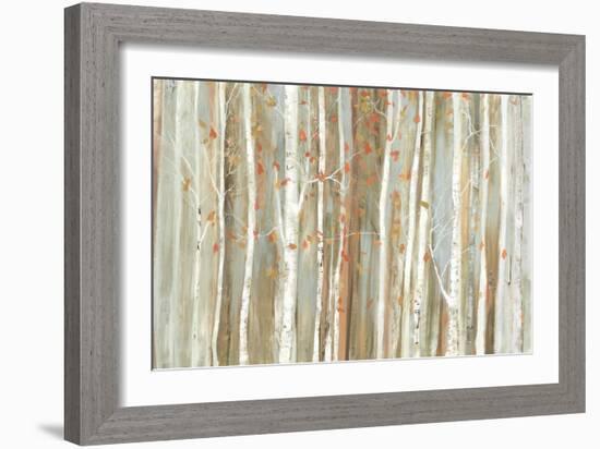 Birch Bark-Allison Pearce-Framed Art Print