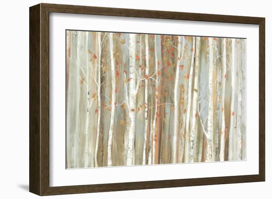 Birch Bark-Allison Pearce-Framed Art Print