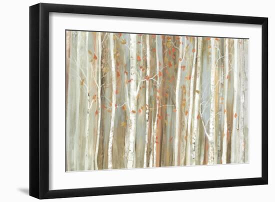Birch Bark-Allison Pearce-Framed Art Print