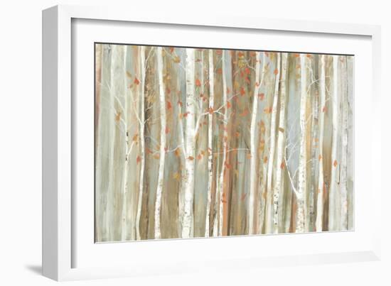 Birch Bark-Allison Pearce-Framed Art Print