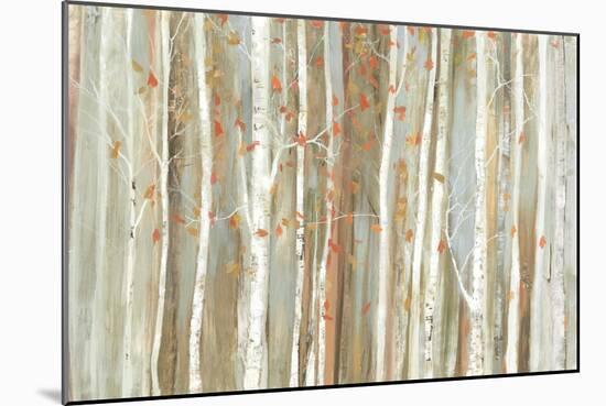 Birch Bark-Allison Pearce-Mounted Art Print