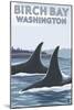 Birch Bay, Washington, Orca Fins-Lantern Press-Mounted Art Print