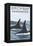 Birch Bay, Washington, Orca Fins-Lantern Press-Framed Stretched Canvas