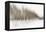 Birch Blur I-Larry Malvin-Framed Premier Image Canvas