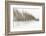 Birch Blur I-Larry Malvin-Framed Photographic Print