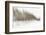 Birch Blur I-Larry Malvin-Framed Photographic Print