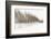 Birch Blur I-Larry Malvin-Framed Photographic Print