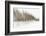 Birch Blur I-Larry Malvin-Framed Photographic Print