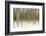 Birch Blur II-Larry Malvin-Framed Photographic Print