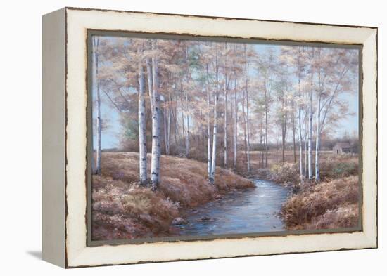 Birch Creek-Diane Romanello-Framed Stretched Canvas