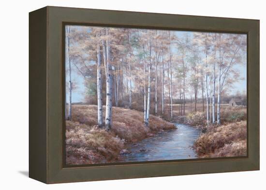 Birch Creek-Diane Romanello-Framed Stretched Canvas