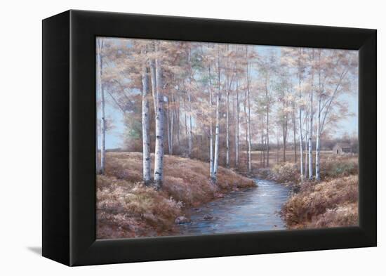 Birch Creek-Diane Romanello-Framed Stretched Canvas