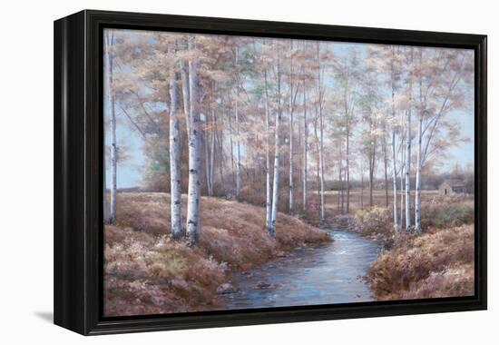 Birch Creek-Diane Romanello-Framed Stretched Canvas